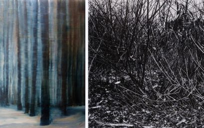 Izložba profesorke AU Ivane Tomanović u Galeriji savremene umetnosti u Pančevu