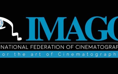 BOJANA ANDRIĆ – PUNOPRAVNI ČLAN IMAGO TEHNIČKOG KOMITETA